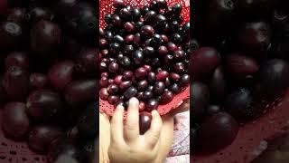 মাশাল্লাহ মা টা আমার️ #viral_video#sr diary#fruit #short video