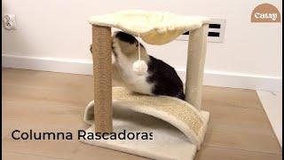 Catzy H Cama Colgante con Rascador Curvo y Pelota Colgante para Gato