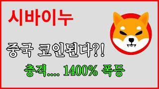 [ 시바이누 코인 ] 중국 코인된다?!!!! 1400% 폭등..!