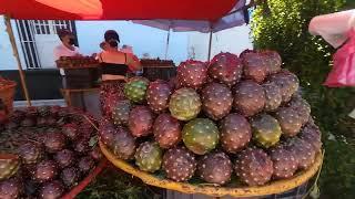 Llegaron las pitayas a las nueve esquinas