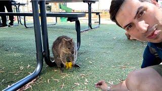 حیات وحش استرالیا (باغ وحش پرث) | Perth Zoo