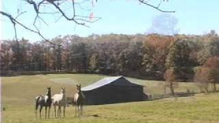 Preston County, West Virginia Scenery