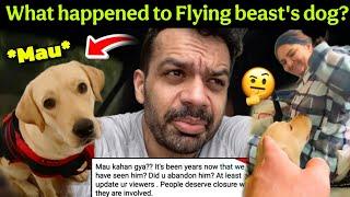 What happened to Flying beast's dog: Gaurav taneja के dog mau को क्या हुआ? #flyingbeast