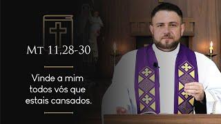 Homilia Diária | Quarta-feira - 2ª Semana do Advento (Mt 11,28-30)