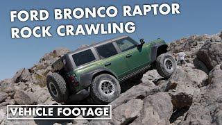 2022 Ford Bronco Raptor rock crawling