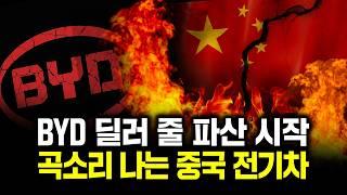 "다 같이 망하려고 작정했다" BYD가 던진 핵폭탄, 중국 전기차 줄 파산 시작했다.