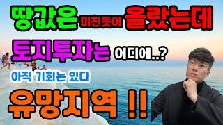 땅값은 미친듯이 올랐는데 아직 기회는 있다 토지투자 유망지역 !!