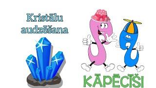 Kristālu audzēšana - eksperiments | Growing Crystals Experiment | KidzLabs