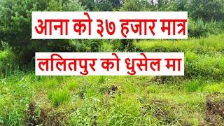 Land for sale in dhusel lalitpur nepal | real estate nepal | sasto jagga | sales nepal | ropani