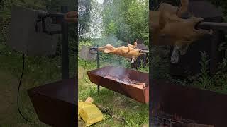 Homemade grill making a delicacy. Midsummer festivity in Estonia. #jaanipäev