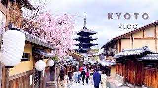 SUB) Kyoto cherry blossom trip| long-established cafe | Korean vlog