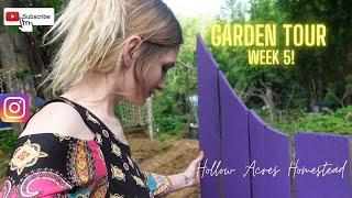 Garden Tour Week 5  | Hollow Acres Homestead | 4/30/22