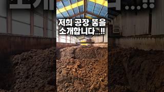 퇴비 이렇게 만듭니다!!#퇴비 #퇴비만들기 #퇴비제조 #퇴비공장 #유기질비료 #가축분퇴비 #친환경농업 #농사준비 #유기농비료