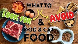 Dr. Judy's Pet Food Criteria | FAQ's What & Why