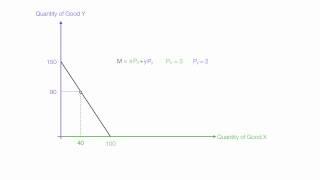 Animation showing Introduction to Budget Lines (Budget Constraint)