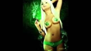 Snoop Dogg Smoke Weed Everyday [Dubstep]