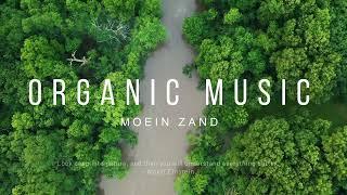 Organic Music (Official Video)