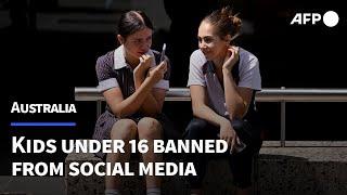 'I'll find a way': Kids react after Australia bans social media for under 16s | AFP