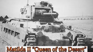 Matilda II Infantry Tank | "Queen of the Desert"
