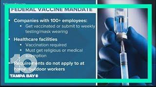 Appeals court temporarily halts COVID-19 vaccine mandate on larger businesses