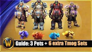 Pet/Tmog Guide:  3 Pets + 6 extra Tmog Sets aus dem TTW Prepatch