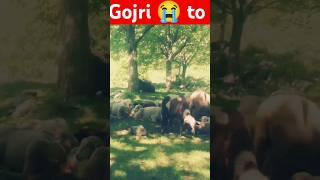 gojri #song #hazarasongs #hindkosongs #gojri #duet #dogrifolksong #gojrimusic  HD Gojri  to promo