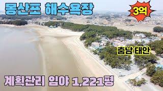 [No54] 급매 2차선 도로변 계획관리지역 태안 몽산포 해수욕장 인근 1,221평 매매 3억(고정가)