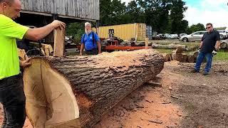 quarter sawing a monster white oak log # 463