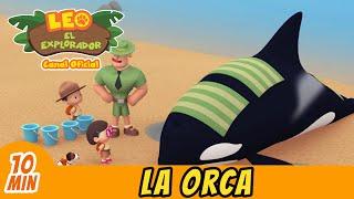 La Orca (Español) - Leo, El Explorador Episodio Completo | Animación - Familia - Niños