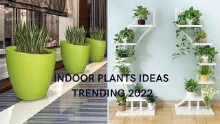 Indoor plants ideas and Home Decor Design trends 2022