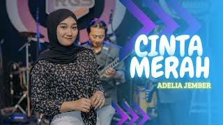 Adelia Jember - Cinta Merah ( Official Live Video Music) | New RGS