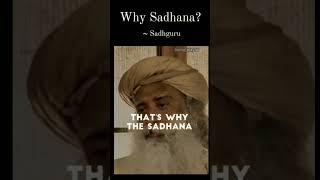 That's why daily Sadhana #sadhguru #yoga #isha #motivation #hope #shorts