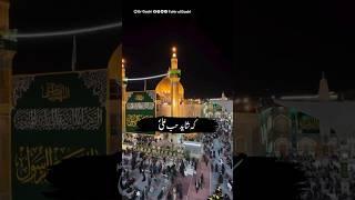 The Love of Ahlulbayt | Dr Tahir-ul-Qadri #Ali #ahlulbayt #islamic