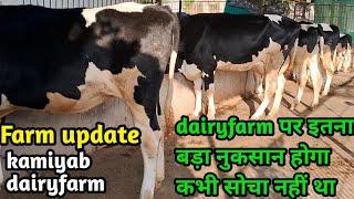 dairyfarm पर इतना बड़ा नुकसान होगा कभी सोचा नहीं था ।। farm update kamiyab dairyfarm