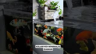 KOLAM KOI MINIMALIS DEPAN RUMAH MIRIP MEGATANK