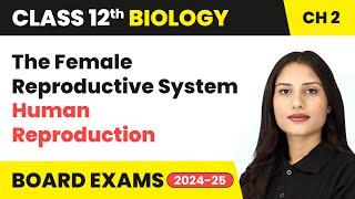 The Female Reproductive System - Human Reproduction | Class 12 Chapter 2 Biology | CBSE 2024-25