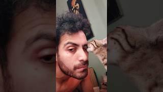 Me & cat love story