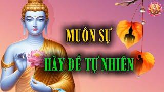 Muôn Sự Hãy Để Tự Nhiên | Việc Đến Sẽ Đến, Tuỳ Duyên Của Mình