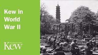 The Story of Kew Gardens in Photographs: Kew in World War II