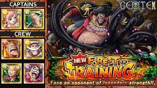 Forest of Training : Darkness ( Blackbeard ) - Shirahoshi / Zoro - OPTC