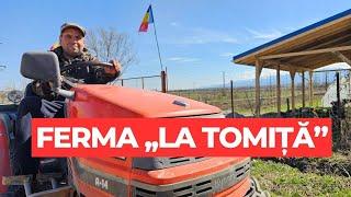 Gospodarul Tomiță cultivă soiuri de legume românești