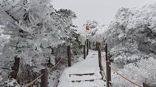 한라산 윗세오름 눈산행 영실코스 올라가는 길