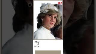 Lady Diana's 27th Death Anniversary