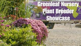 Greenleaf Nursery Plant Breeder Showcase