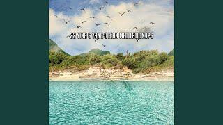 The Lapping Ocean