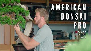 A Day in the Life of a BONSAI Professional in America