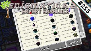 Das erste Creative Item bestellen?  Enigmatica 2 Expert Skyblock #255