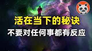 解決一切問題、活在當下的唯一奧義：不要做任何反應【熊貓周周】