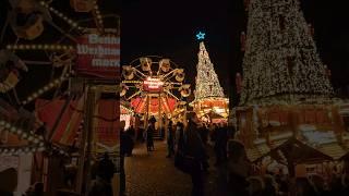 #bonn #germany  #christmasmarket #europetravel  #christmas  #travel #travelvlogger  #shorts