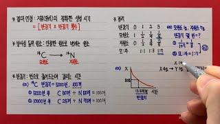 절대연령과 반감기